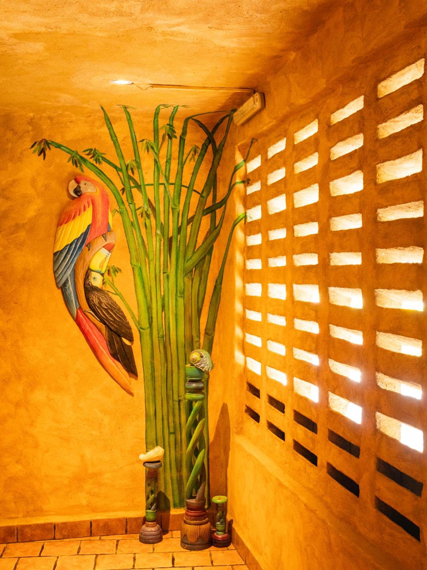 El Sano Banano Beachside Hotel モンテスマ エクステリア 写真