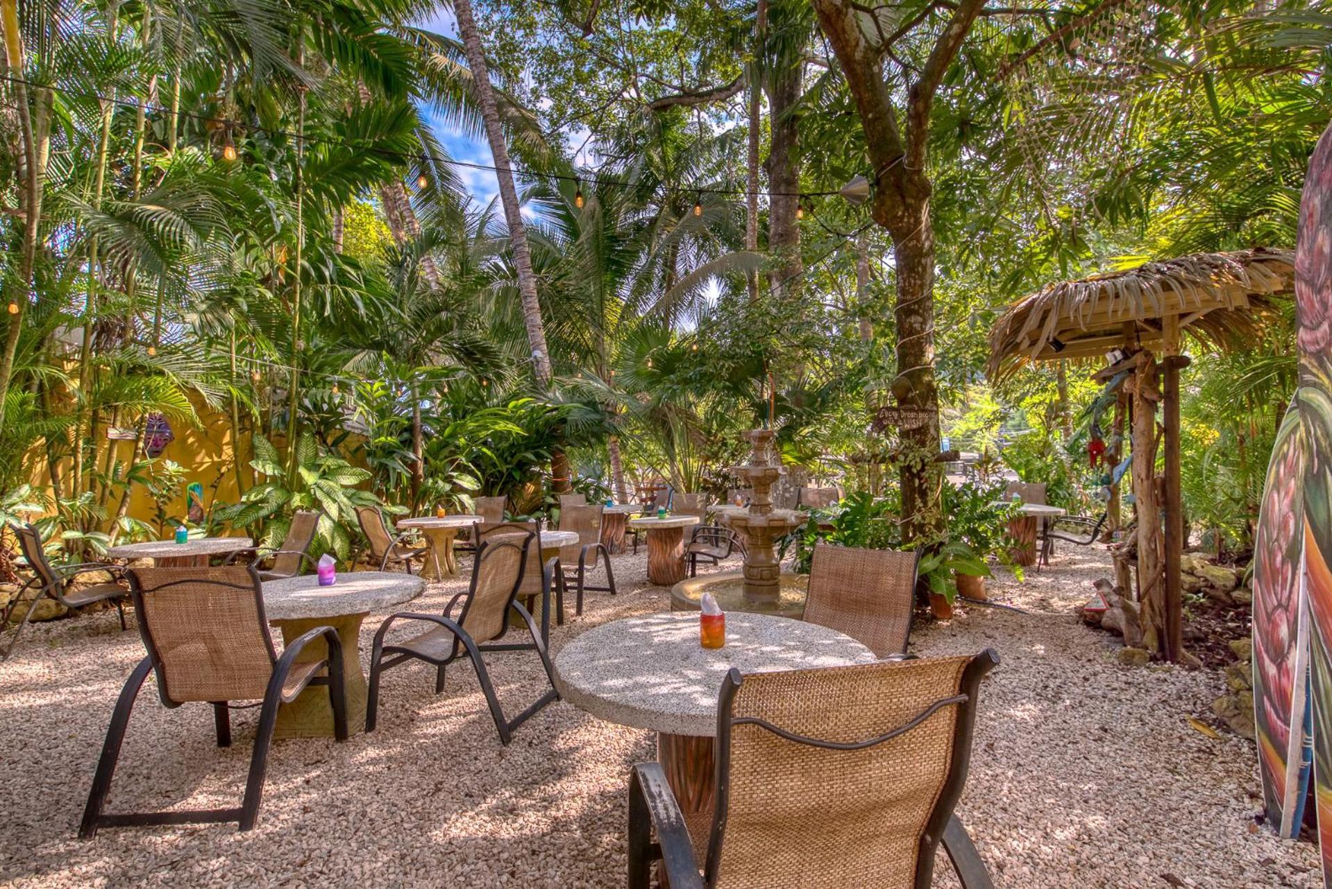 El Sano Banano Beachside Hotel モンテスマ エクステリア 写真