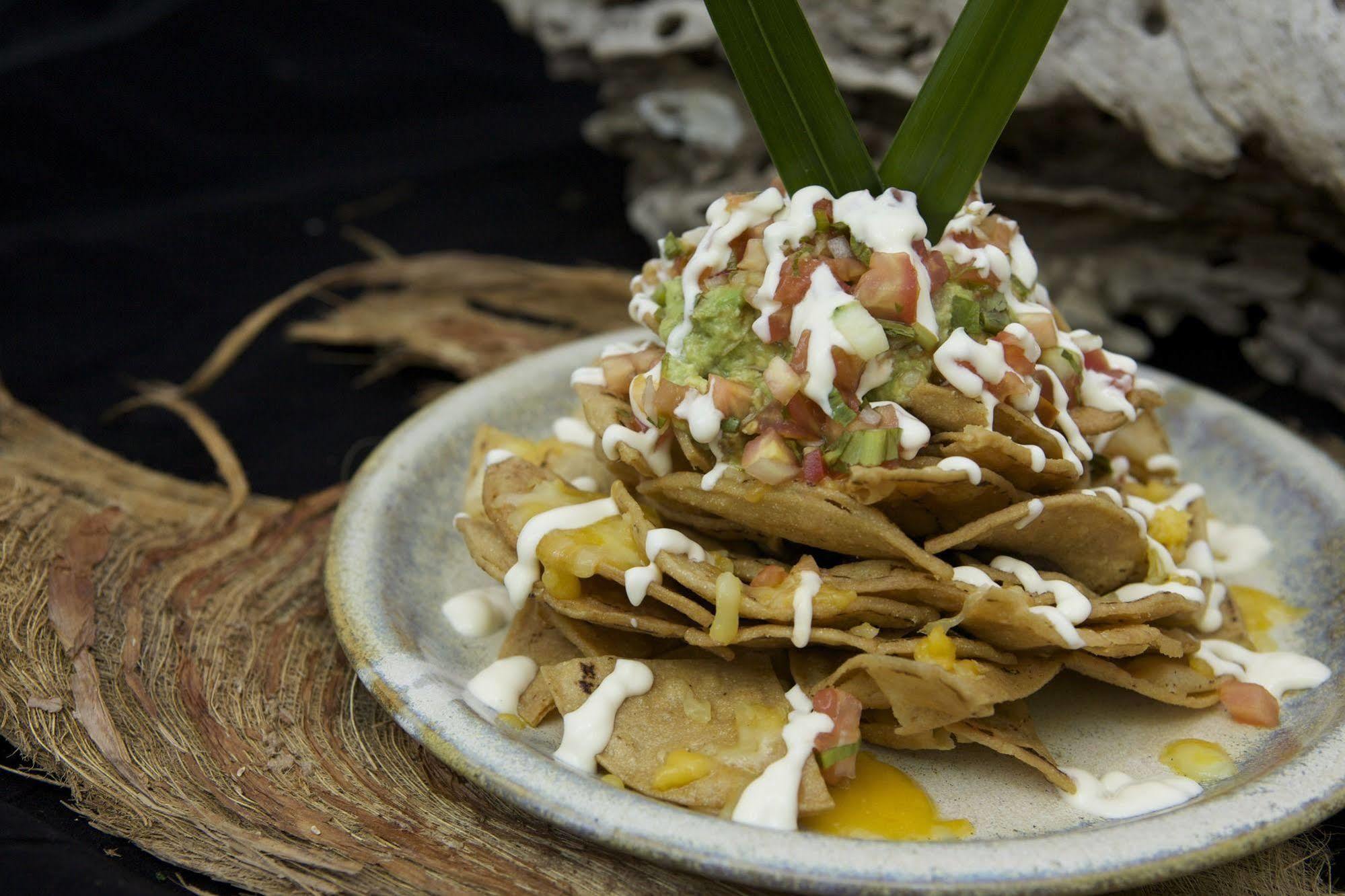 El Sano Banano Beachside Hotel モンテスマ エクステリア 写真