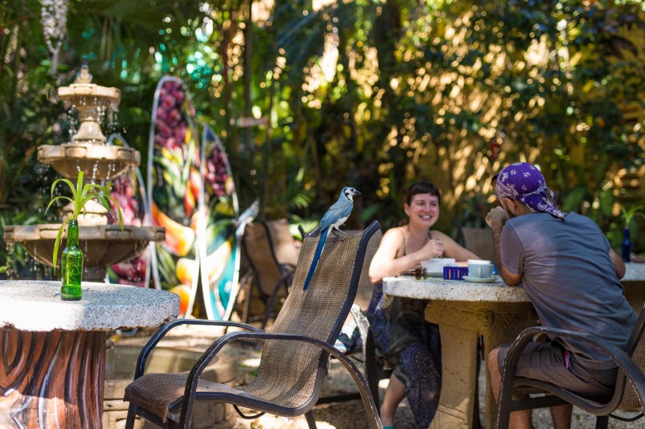 El Sano Banano Beachside Hotel モンテスマ エクステリア 写真