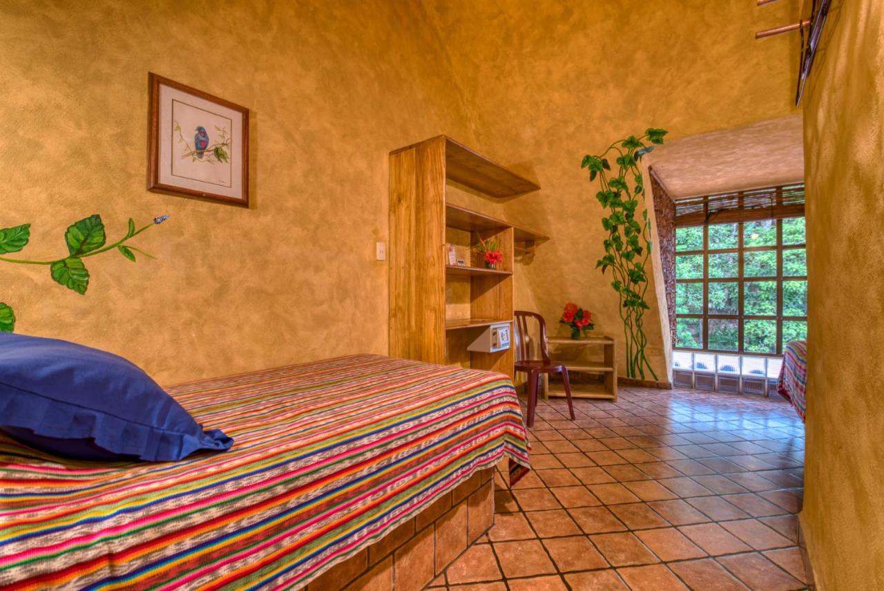 El Sano Banano Beachside Hotel モンテスマ エクステリア 写真